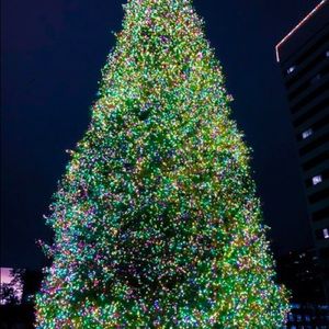 Meet your Posher, Lesley